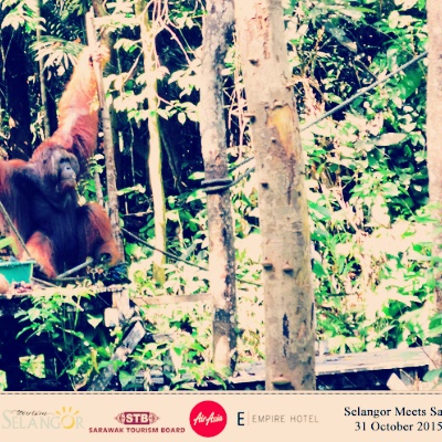 Tempat Menarik Di Sarawak Untuk Dilawati Semasa Cuti Sekolah