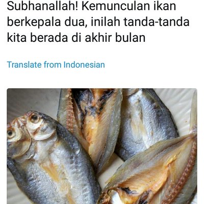 Image result for Gambar ikan busuk bermula dari kepala