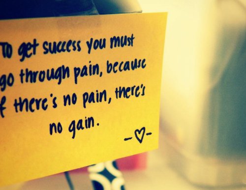 essay on in life there is no gain without pain essay on in life there is no gain without pain
