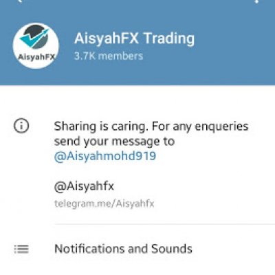 Forex group telegram indonesia