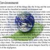 Essay About Environment