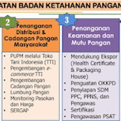 Produk Kelas 11 Infografis Ketahanan Pangan Bahan Industri Dan Energi ...