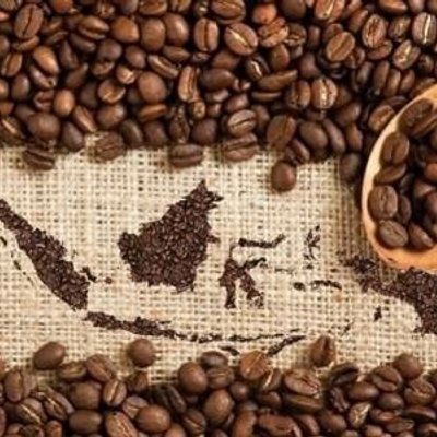 Sejarah Penyebaran Kopi Di Indonesia