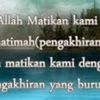 Kucing Mari Dekat Dengan Kita Y 8672